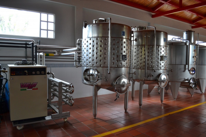 cave-LA CROIX SUR ROUDOULE-min_wine_production_cantine_winery_drink_alcohol_vine_beverage-902036